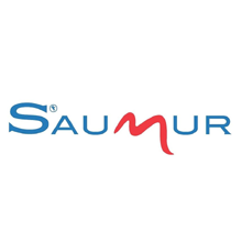 Saumur (référence)