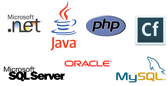 Principales technologies : .NET, Java, php, Cf, MySQL, SQL Server, Oracle